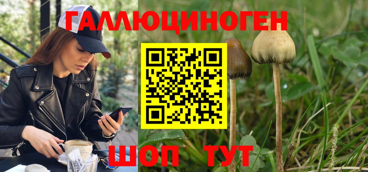 Псилоцибиновые грибы прущие грибы Новоуральск