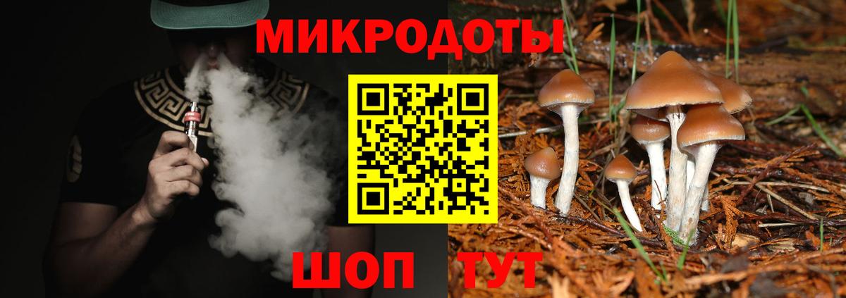 Галлюциногенные грибы Psilocybine cubensis  Вход с VPN  Новоуральск 